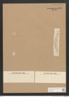 Diatomeae indet. Zeichnungen Sammlung Grunow Nr. 2829 (NHMW-BOT-W0370138)